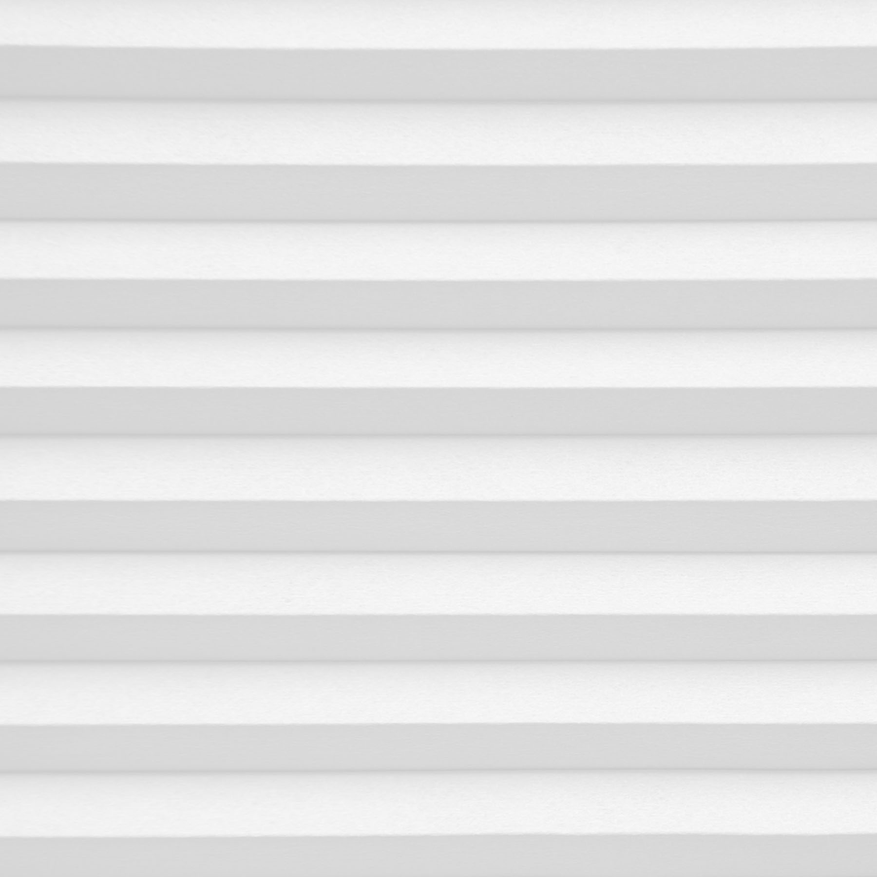 Lexington White